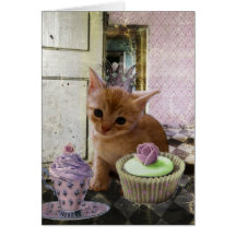Party For One Kitten cards