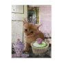 Party For One Kitten postcard