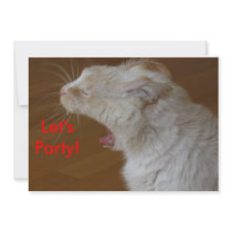 Party Invitation