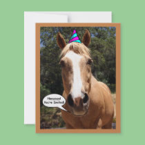 Party Invitation - "Bess the Party Horse" invitations