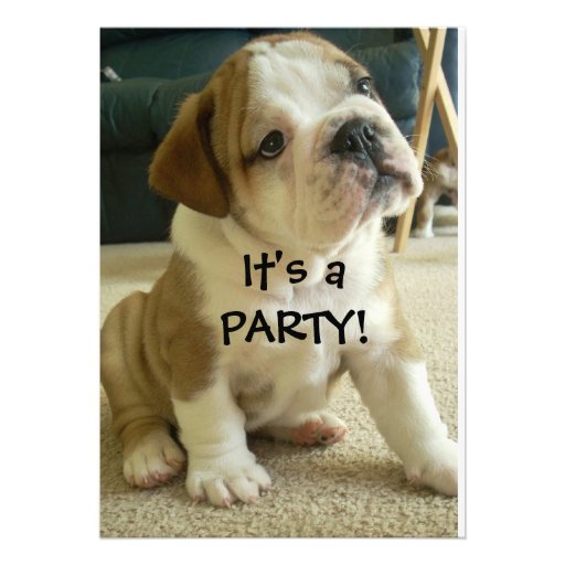 Party Invitations English Bulldog Puppy