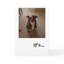 Party Invite cards