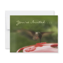Party Invite invitations