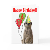 Party Like a Meerkat Birthday Card