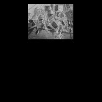 Party Like It's 1773