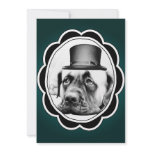 PARTY MASTIFF ANNOUNCEMENT