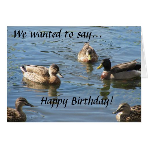 party of ducks birthday card