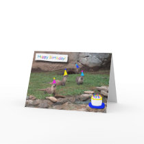 party otters birthday card by lisajparker party otters birthday card