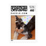 Party Pooch Miniature Schnauzer Postage Stamp