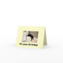 Party 'till you puke! cards by larashosted Party 'till you puke! cards