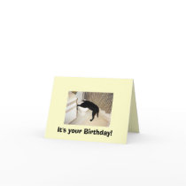 Party 'till you puke! cards by larashosted Party 'till you puke! cards