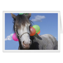 PartyAnimal cards by brookhouse PartyAnimal cards