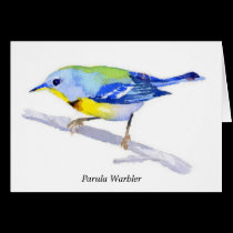 Parula Warbler cards