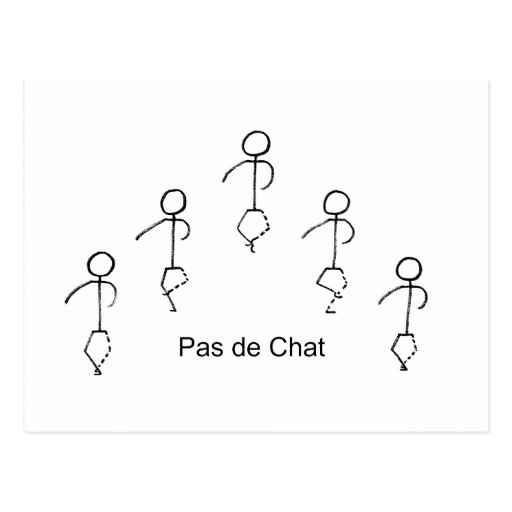 pas de chat literal meaning