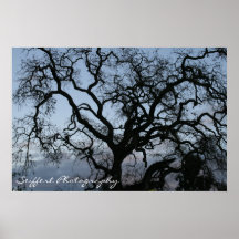 Pasa Robles Print