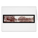 Pasadena Busch Gardens Photo 1909 cards