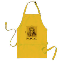 Pascal = 1 newton per square meter math joke aprons by strk3 Pascal = 1 newton per square meter math joke aprons
