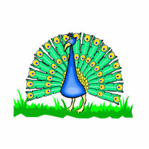 Pascal Peacock photo sculptures