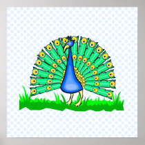 Pascal Peacock Print