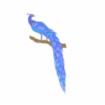 Pascoe Peacock photo sculptures
