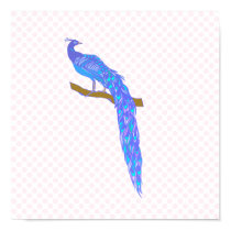 Pascoe Peacock posters by BisforBirds Pascoe Peacock posters