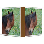 Paso Fino Binder
