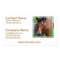 Paso Fino Horse Business Card