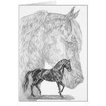 Paso Fino Horse Drawing by Kelli Swan cards