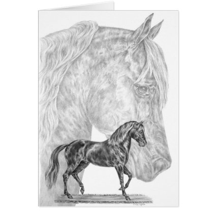 Paso Fino Horse Drawing by Kelli Swan Greeting Card