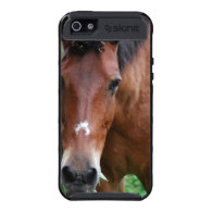Paso Fino Horse iPhone 4 Case