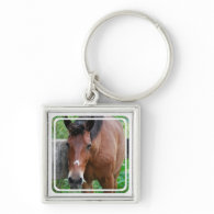 Paso Fino Horse Keychain