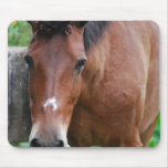 Paso Fino Horse Mouse Pad