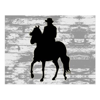 Paso Fino Horse Silhouette Rider Post Card