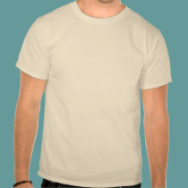 Paso Fino Horse t-shirts