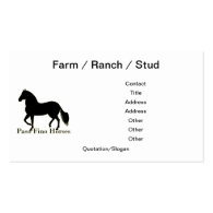 Paso Fino Horses - Personalize It Business Card Template
