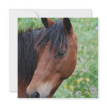 Paso Fino Invitations
