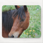 Paso Fino Mouse Pad