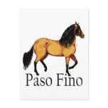 Paso Horse Buckskin Paso Fino Post Card