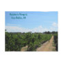 Paso Robles, California, Wine Country Post Card