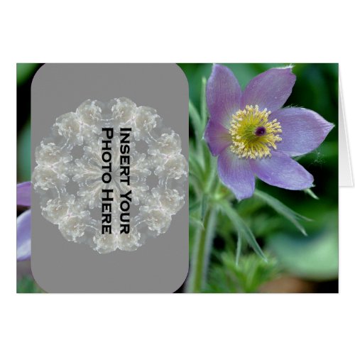 Pasque Flower Add Photo Template Card card