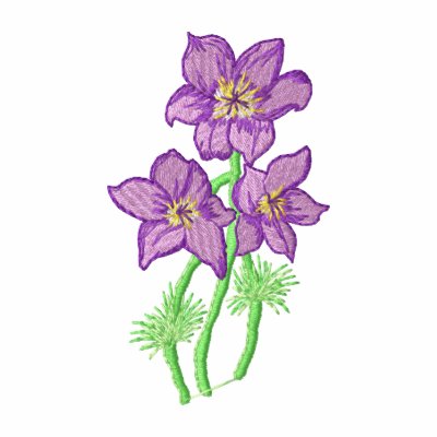 Pasque Flower Pasque Flower