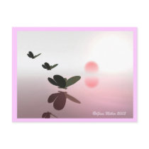 Passages postcards