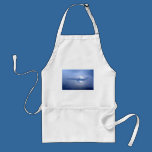 Passenger Airplane Reflection Rainbow Photo Art aprons