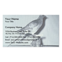 Passenger Pigeon Business Card Template