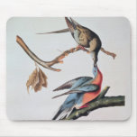 Passenger Pigeon, from 'Birds of America' Mousepads