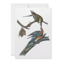 Passenger Pigeon, John Audubon Custom Announcements