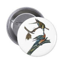 Passenger Pigeon, John Audubon Pinback Button