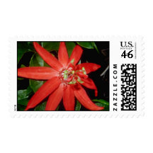 Passiflora antioquensis flowers postage stamps