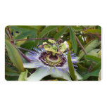 Passiflora Business Card Templates