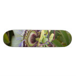 Passiflora Custom Skate Board